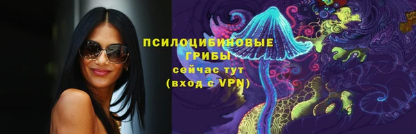 apvp Инта