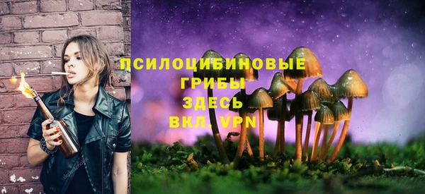 MESCALINE Инсар