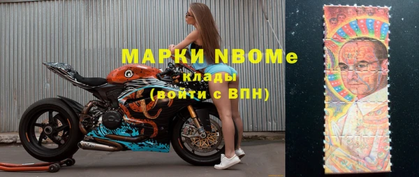 apvp Инта