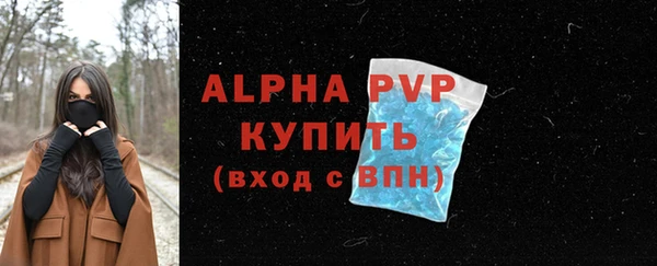 apvp Инта