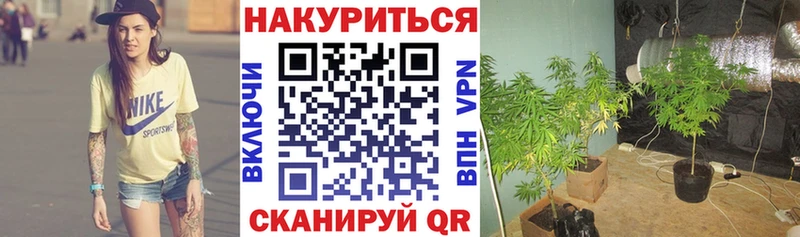 МАРИХУАНА планчик Волосово