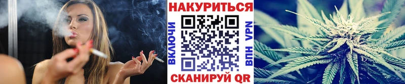 Шишки марихуана сатива  Купить  Волосово 
